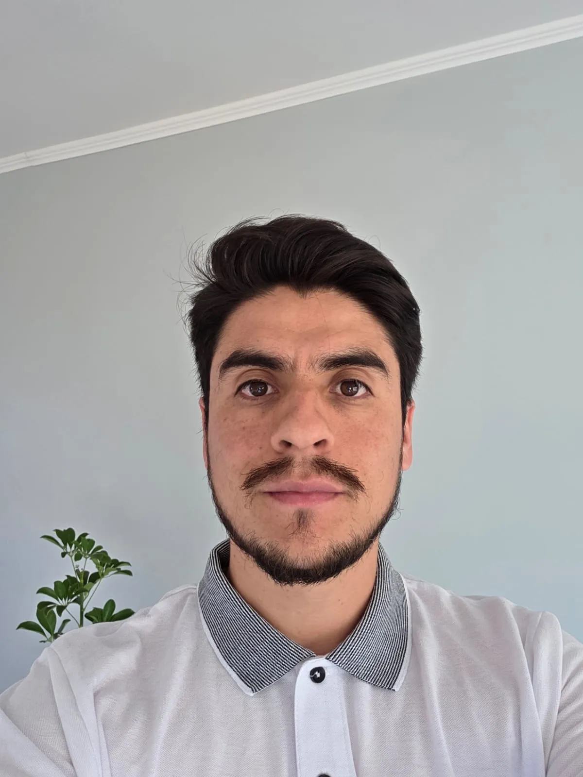 Diego Leiva